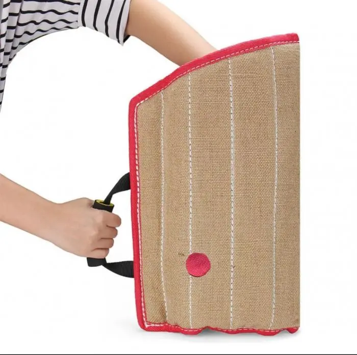 material de dressage professionnel