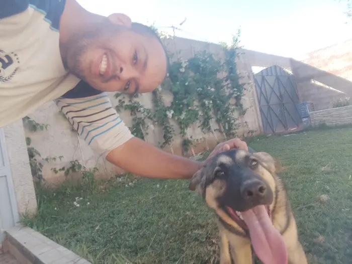 Joli chien pour adoption