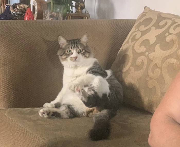 Trouver une famille d’accueil