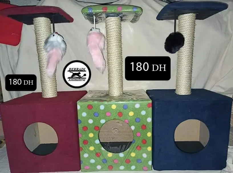 بيوت للقطط للنوم واللعب وحتى الولادة