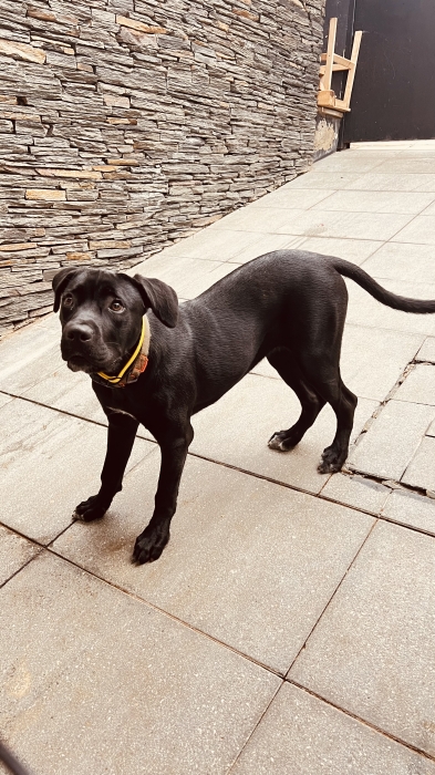 Recherche Famille d'Accueil Attentionnée