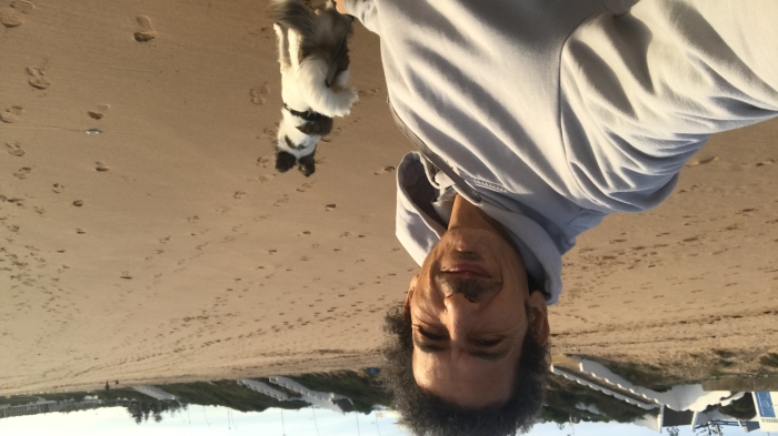 Chien berger de l atlas