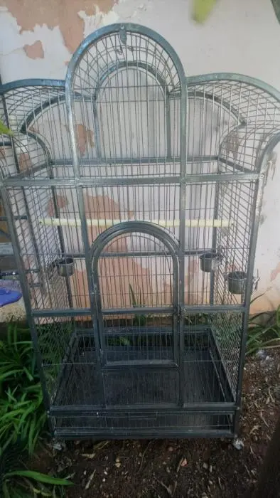 Cage perroquet