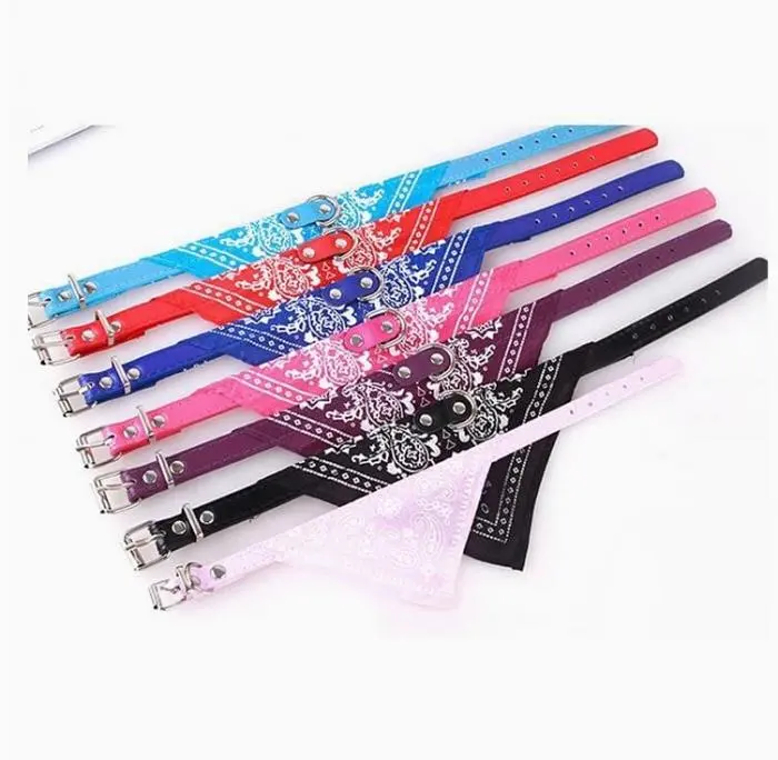 Accessoire chien et chat