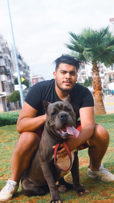 Les chiots avec certificat de naissance