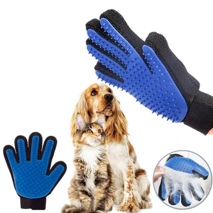 Accessoire chien et chat