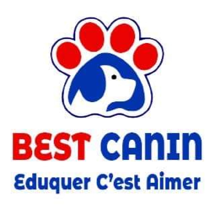 Dressage Chien Bouznika