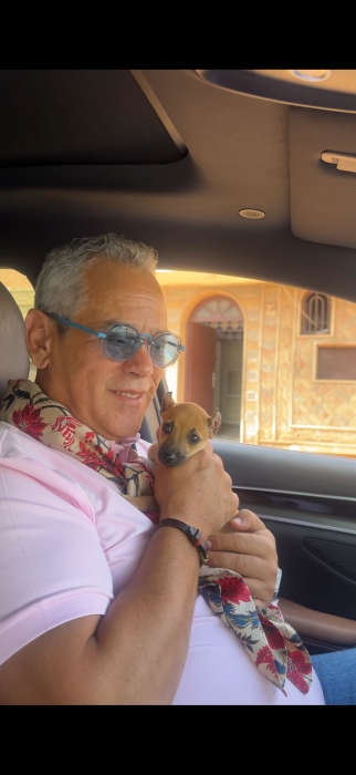 Pinscher nain femelle de 10 mois – cherche famille aimante
