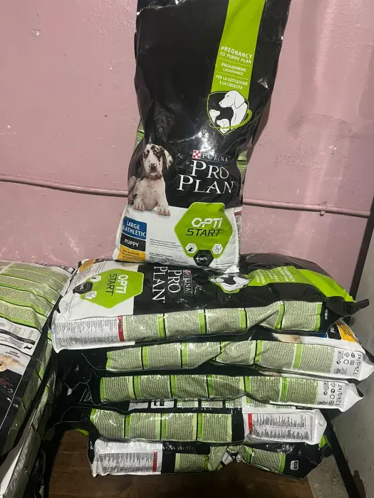 Croquet pro plan 12 kg