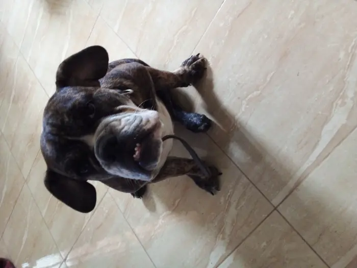 Don contre bons soins