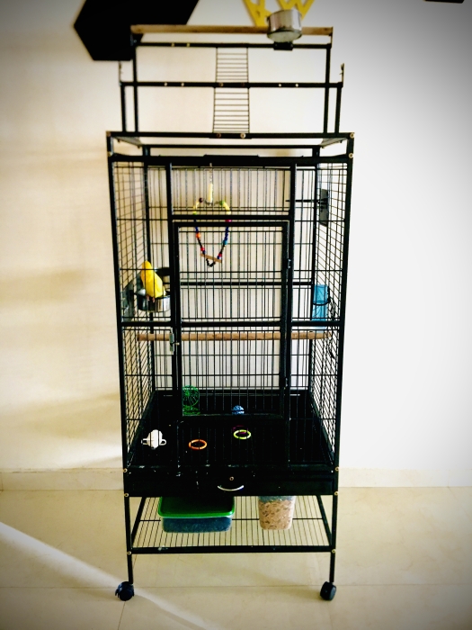 Cage perroquet Casablanca