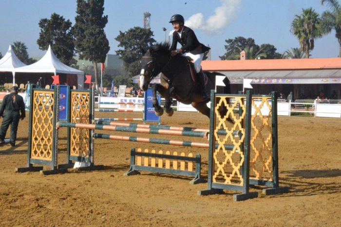 cheval selle français