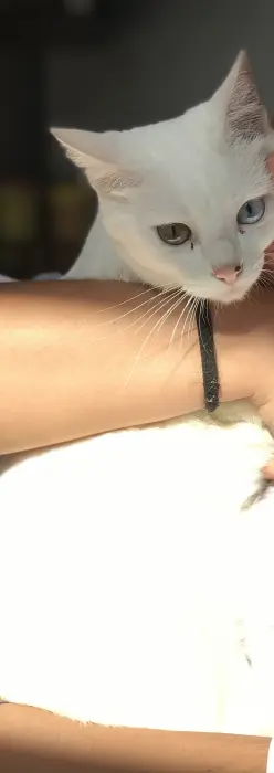 Alaska et ses enfants