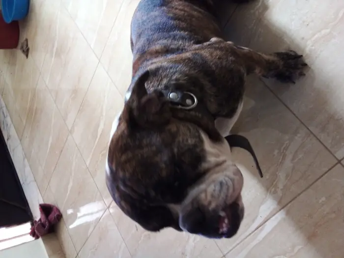 Don contre bons soins