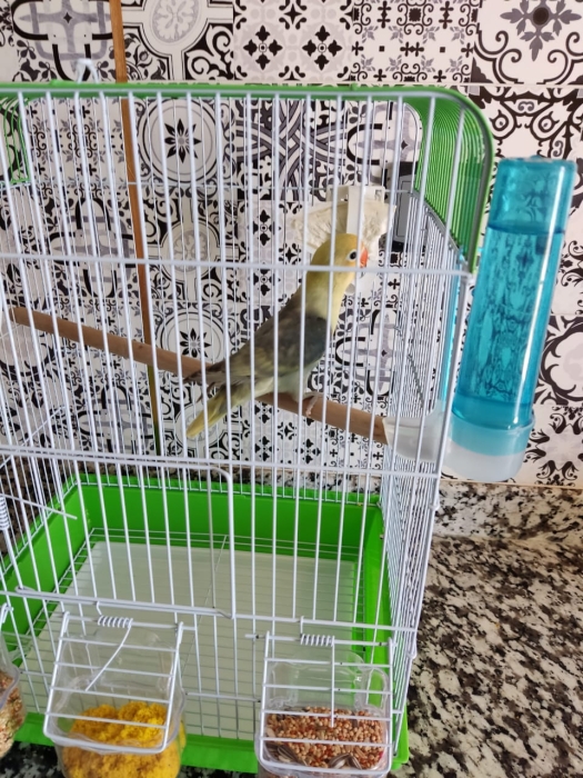 Insiparable parbleu ficher à Casablanca