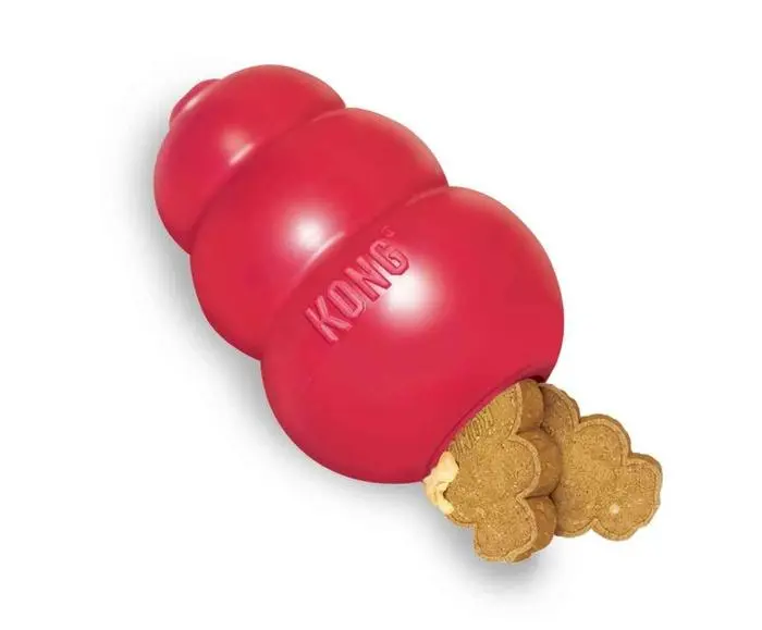 Kong pour chien