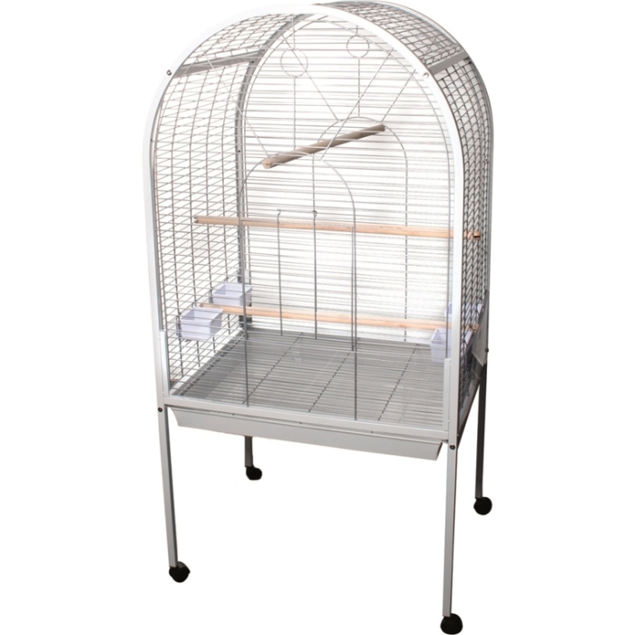 Cage perroquet Casablanca