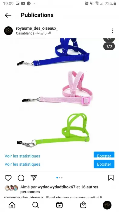 Seinture por drissaj