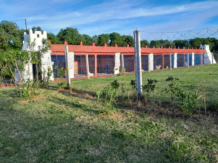 Pension et hôtel pour chiens et chats