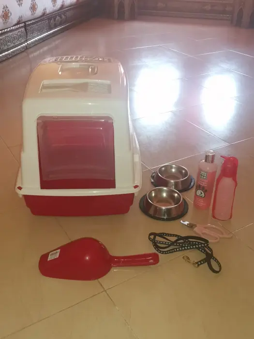 Accessoires pour chat