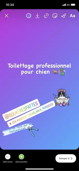Toilettage professionnel