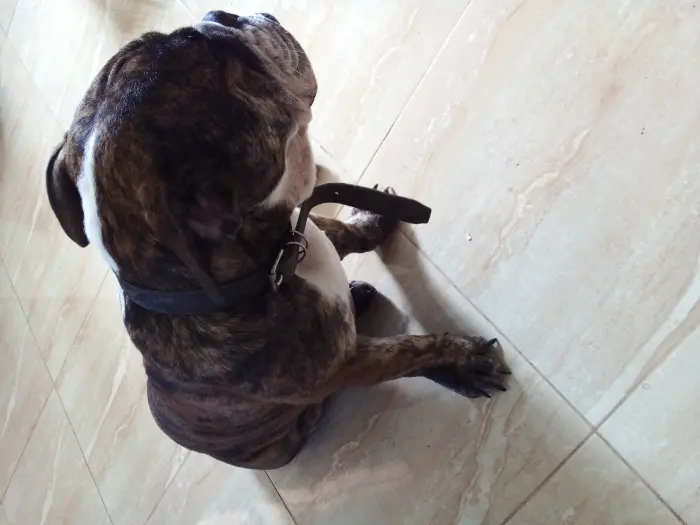 Don contre bons soins