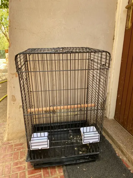 Cage perroquet
