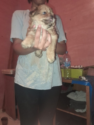 Contacter moi sur wathsapp numéro en dessous