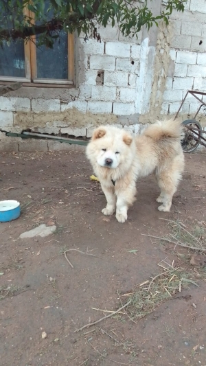 الدار البيضاء