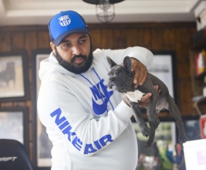 magnifiques chiot bulldog francais exotique